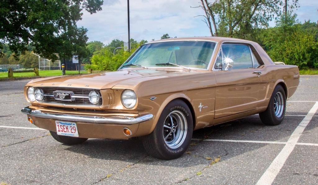 Mustang aus USA in Münchenstein - Bild 3