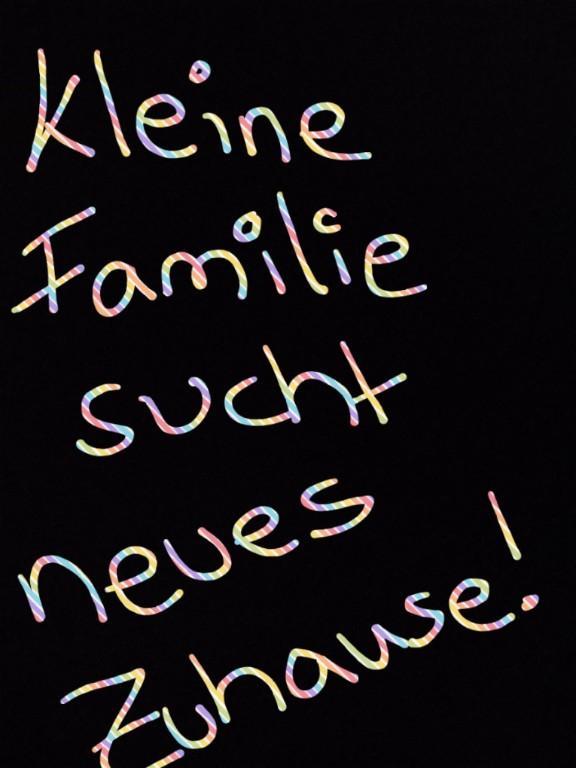 Kleine Familie sucht DRINGEND neue Wohnung! in Brig - Bild 1