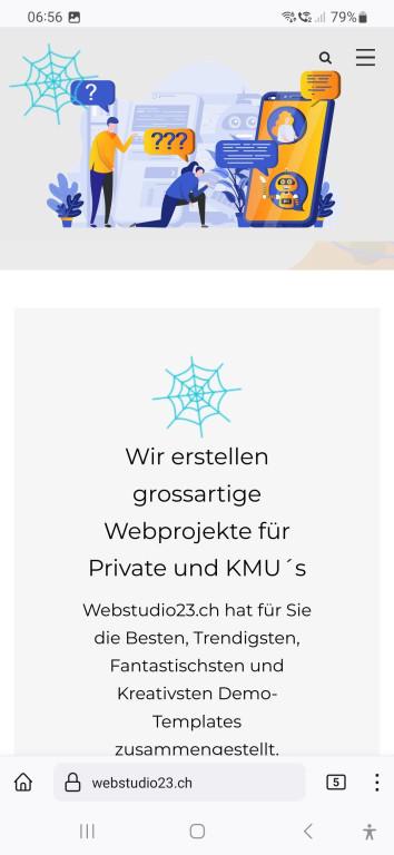 Neue Website Redesign SEO in Belp - Bild 1