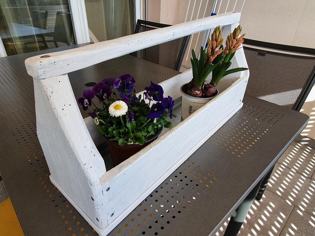 Blumentrögli zu verkaufen in Köniz - Bild 1
