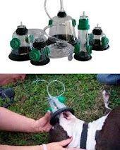 Sauerstoffmasken für Tiere, Hunde, Katzen, Vögel, Kleintiere in der Schweiz - Bild 2