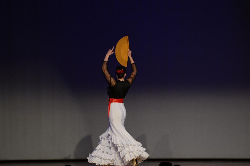 Flamenco & Dinner in Münchenstein - Bild 3