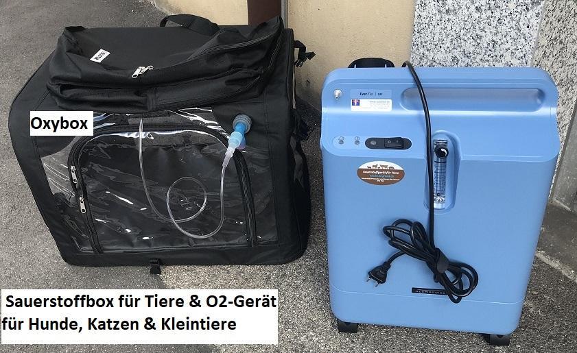 Sauerstoffbox mieten für Tiere, Hunde, Katzen und Kleintiere in der Schweiz - Bild 1