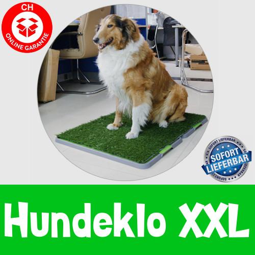 Hundewc Welpentoilette Hundetoilette Hundeklo Welpen Hunde Klo in Brig - Bild 1