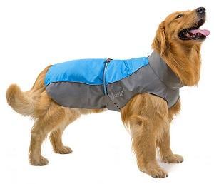 Hunde Regenmantel M in Wald - Bild 1