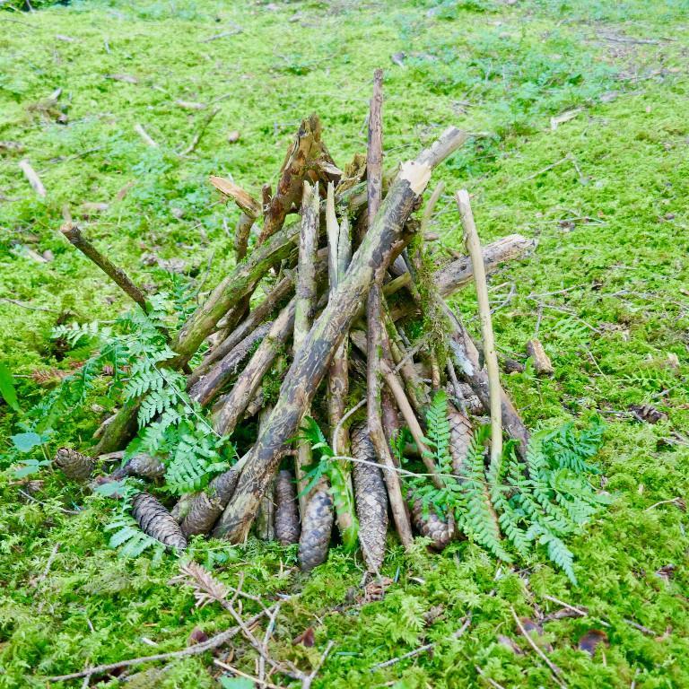 Der Eltern-Kind-Treff im Wald Binggis under Bäum in Muttenz - Bild 2