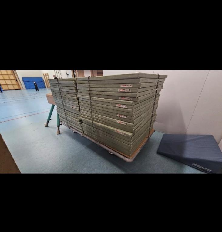 Tatamimatten Judomatten Kampfsportmatten Yogamatten in Lenzburg - Bild 2