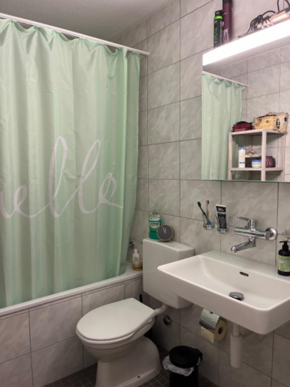 1.5-Zimmer-Wohnung in Zürich-Altstetten zur Untermiete (Dezember in Opfikon - Bild 7