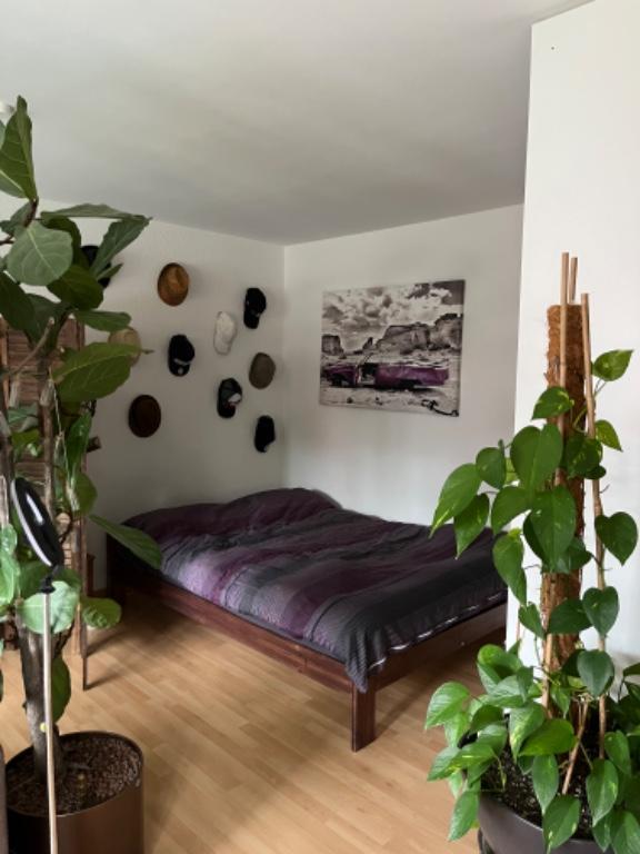 1.5-Zimmer-Wohnung in Zürich-Altstetten zur Untermiete (Dezember in Opfikon - Bild 3