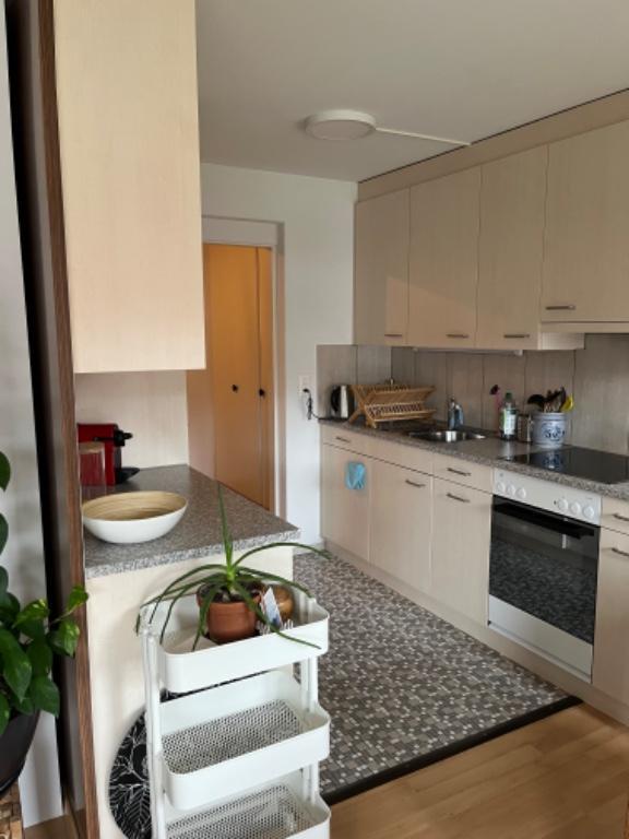 1.5-Zimmer-Wohnung in Zürich-Altstetten zur Untermiete (Dezember in Opfikon - Bild 11