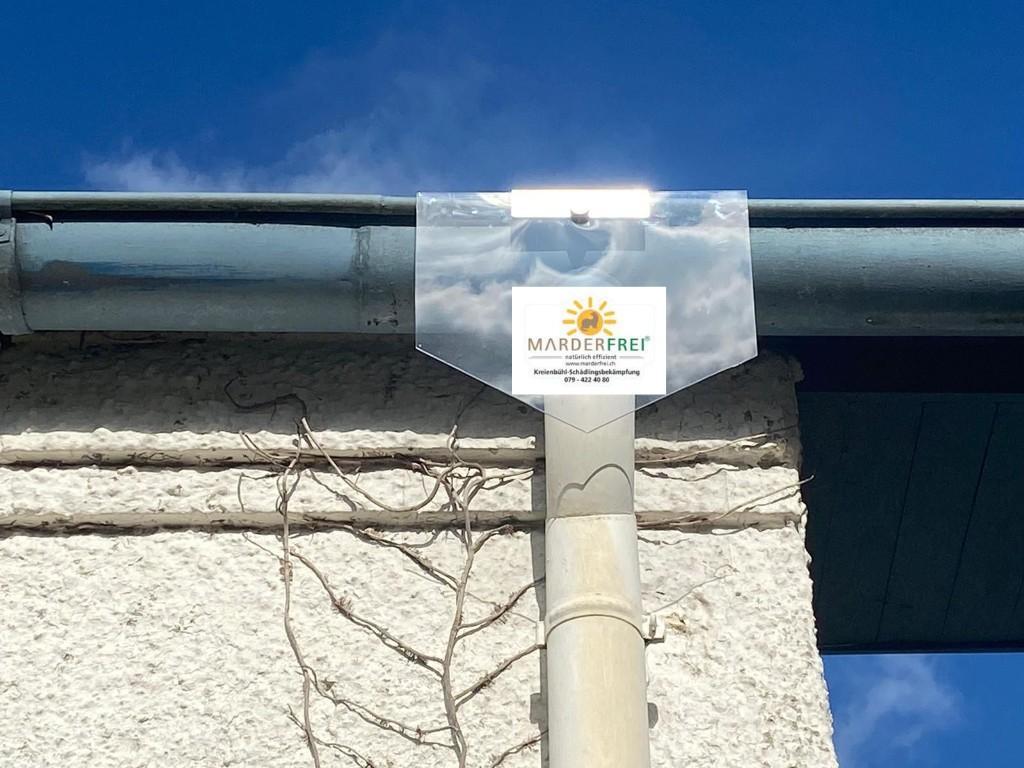 Marderabwehrschild transparent aus Polycarbonat. Marderschutz. in Appenzell - Bild 1