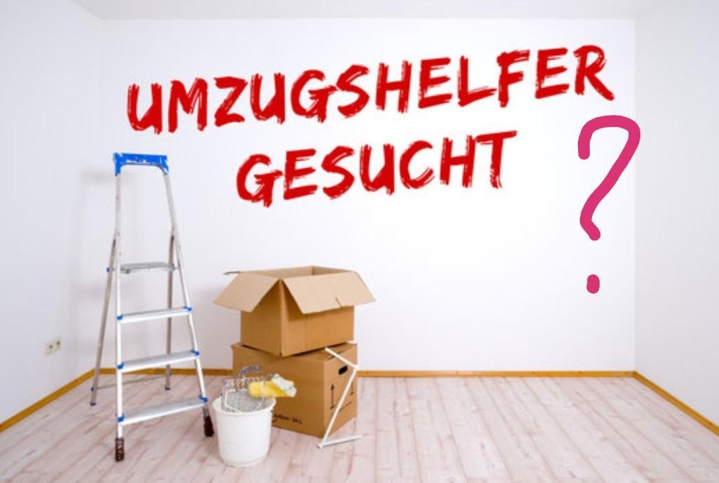 Umzugshelfer, Reinigung, Streichen, Computerhilfe in Bülach - Bild 1