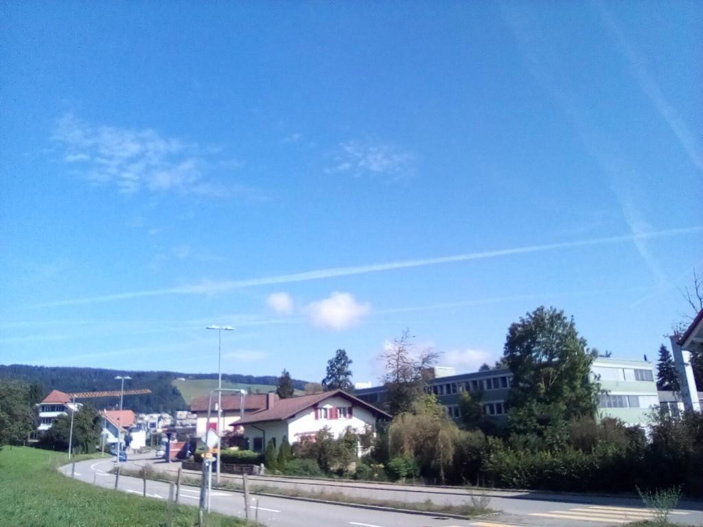 Garten zu vermieten..Raum Bern -Thun in Bern - Bild 1