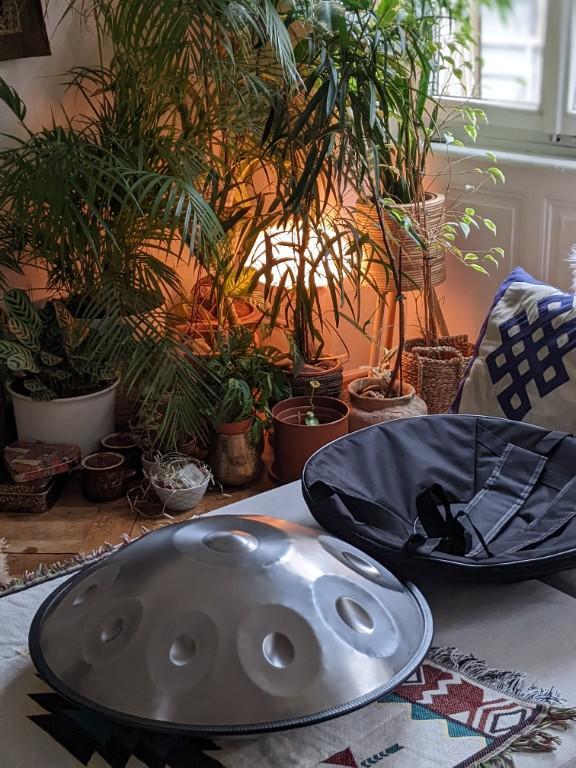 Handpan in D-Moll (440 Hz/10 Noten) günstig zu verkaufen in Basel - Bild 2