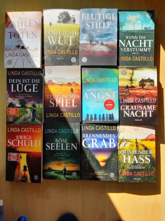 verschiedene Taschenbücher in Basel - Bild 1