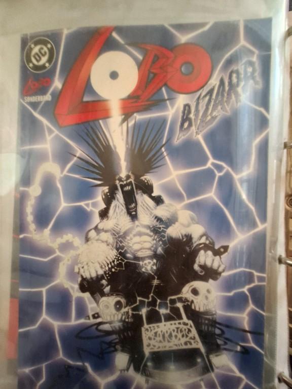 Lobo Comic, komplette Serie! in Thun - Bild 6