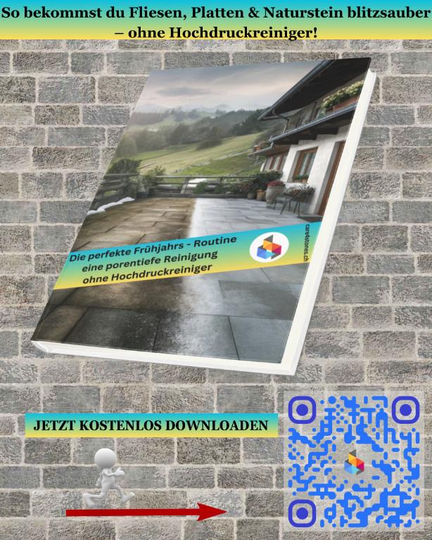 Ihre Frühjahrs-Reinigung von Gehwegen, Terrassen, Einfahrten in Buchs - Bild 2