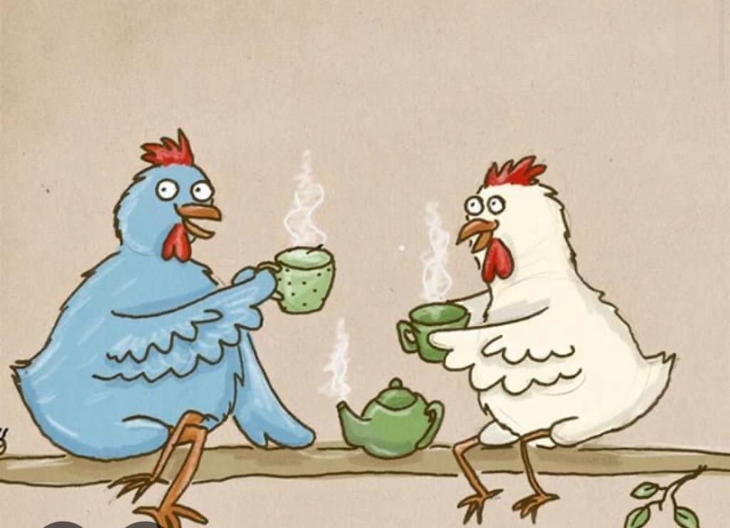 Kaffeeklatsch Mädels gesucht in Arbon - Bild 1