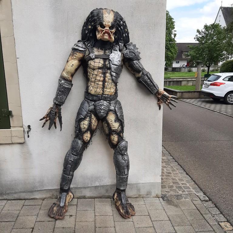 Predator 1/1 sehr selten top in Basel - Bild 1