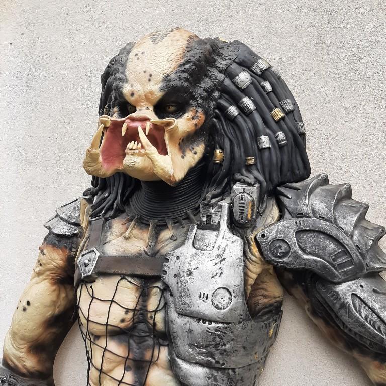 Predator 1/1 sehr selten top in Basel - Bild 3