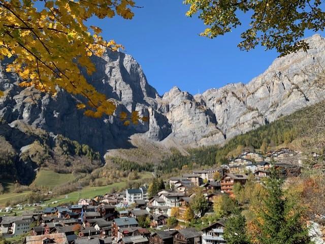 Studio S03, helle und gepflegte Studio-Wohnung mit Thermalbad in Sierre - Bild 5