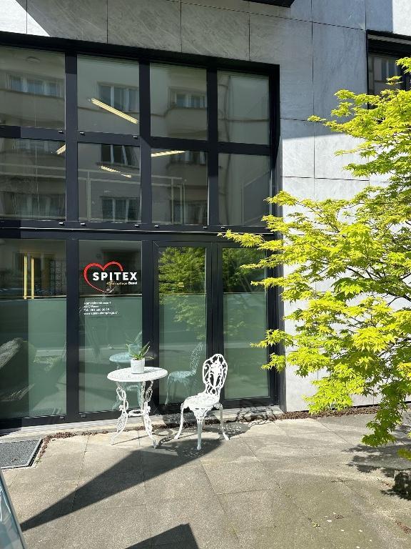 Ein wunderschönes Büro am Rhein 95 m² , Basel 4052 in Basel - Bild 3