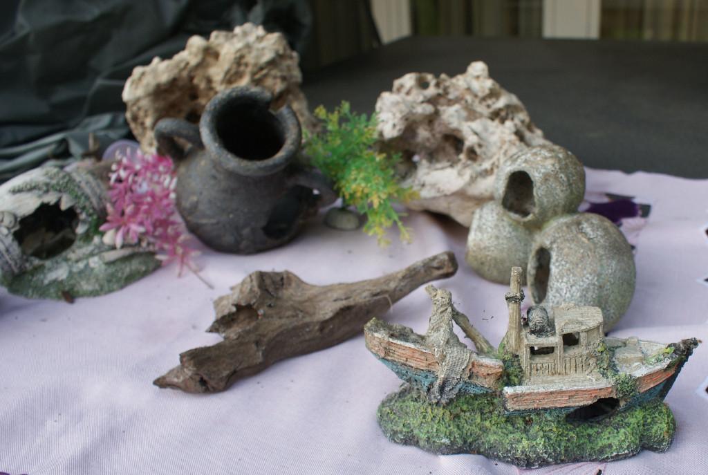 Aquarium Zubehör in Urdorf - Bild 2
