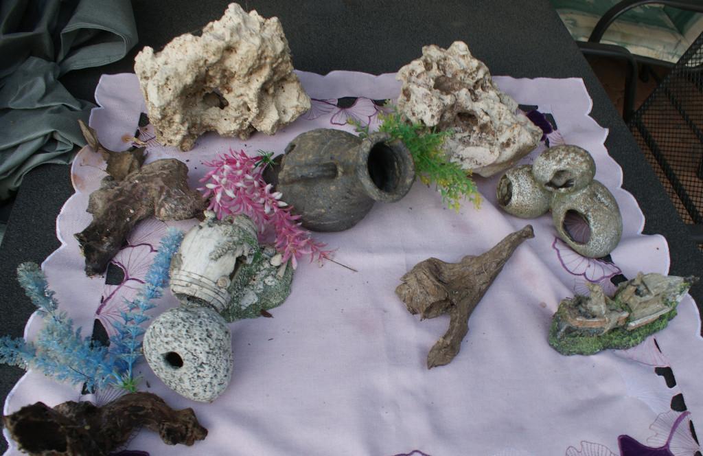 Aquarium Zubehör in Urdorf - Bild 4