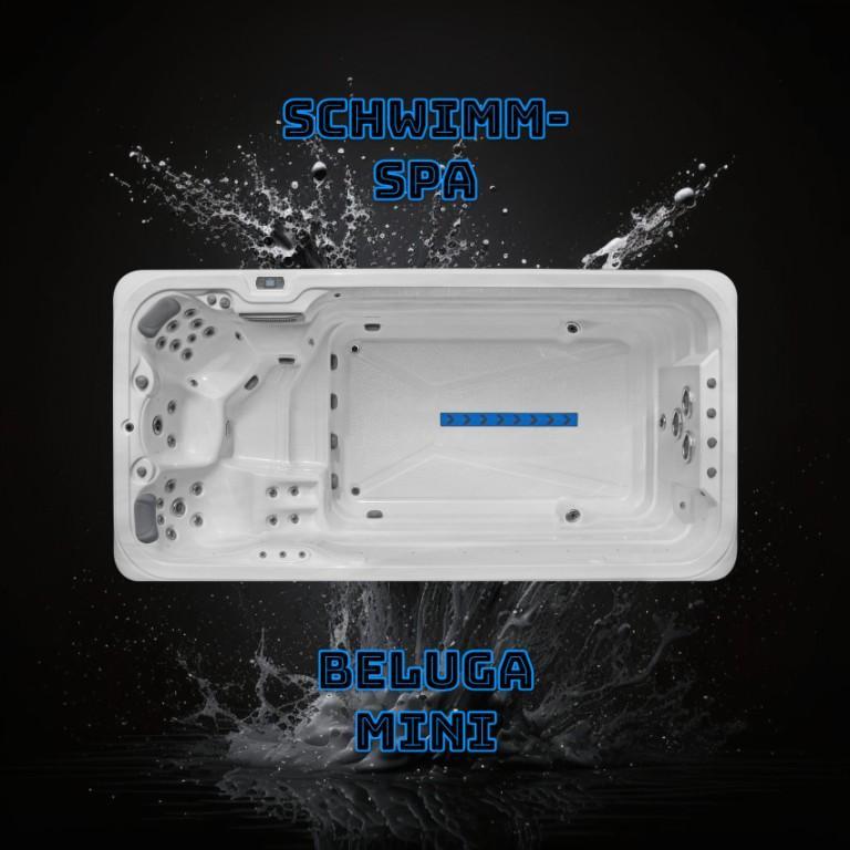Pflege & Reinigungs Produkte für Schwimmbecken/SPAs/Whirpools in Biberist - Bild 9