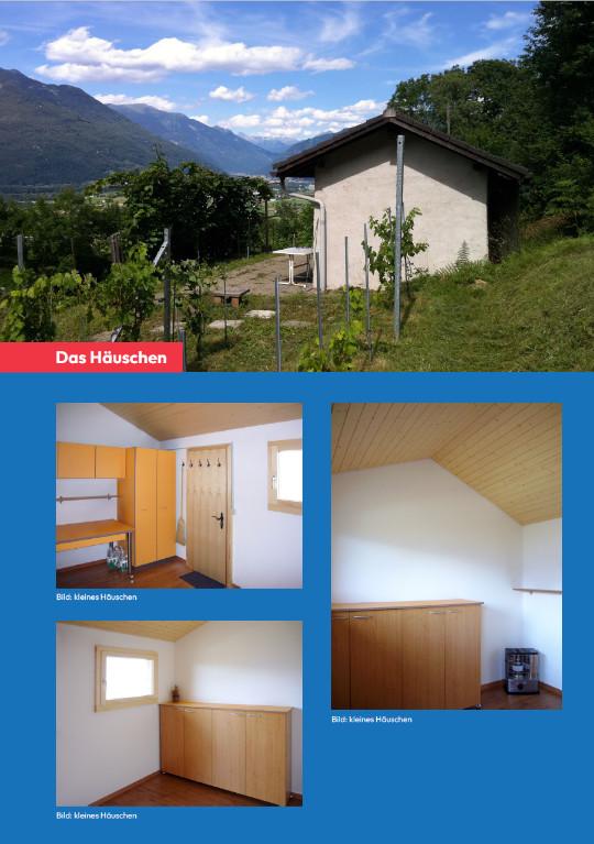 Rebberg zu verkaufen in Locarno - Bild 3