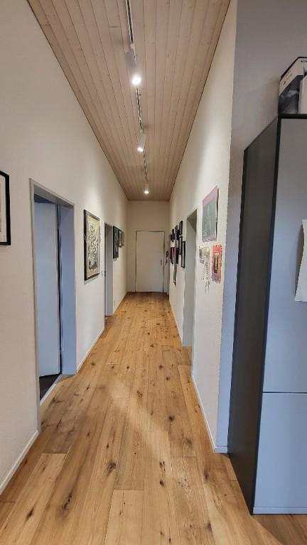 Reinigung bei ihr Zuhause in Seuzach - Bild 1