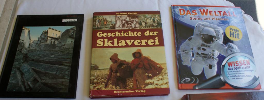 29 diverse Sachbücher und Geschichte in Bremgarten - Bild 4