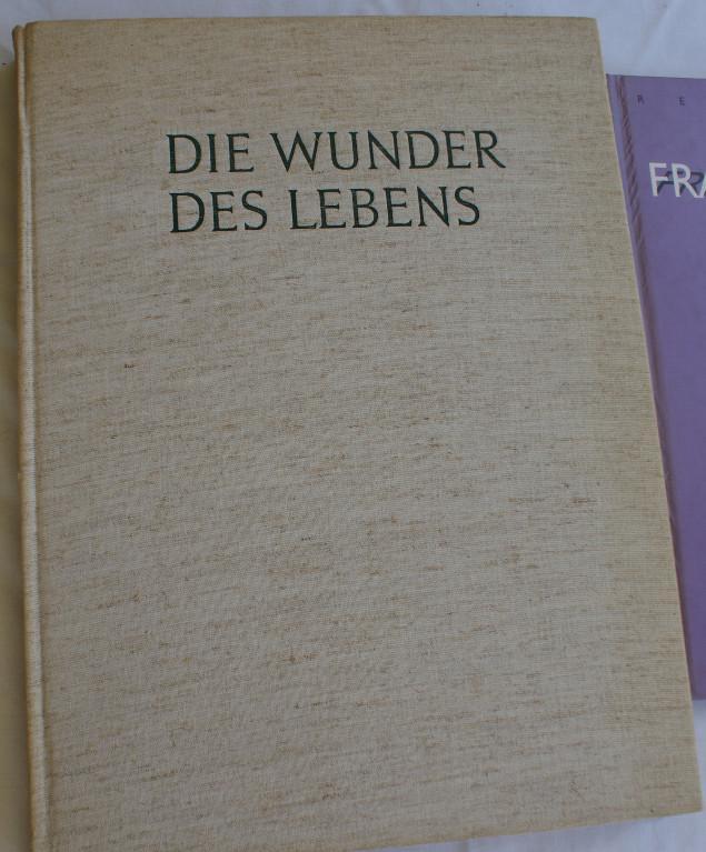29 diverse Sachbücher und Geschichte in Bremgarten - Bild 5