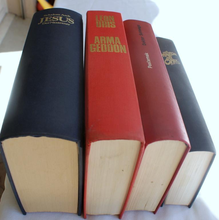 24 Diverse Bücher gebraucht in Bremgarten - Bild 2