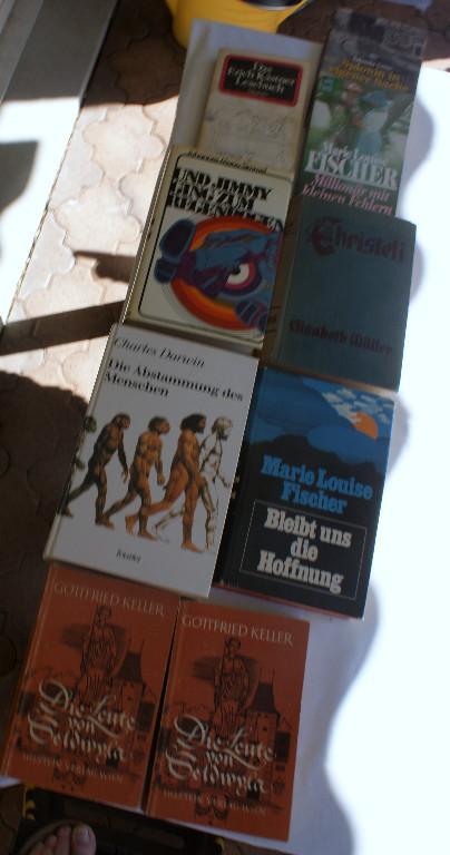 24 Diverse Bücher gebraucht in Bremgarten - Bild 4