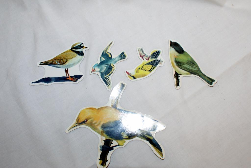 5 Magnet Vögel für Kühlschrank,etc in Urdorf - Bild 1