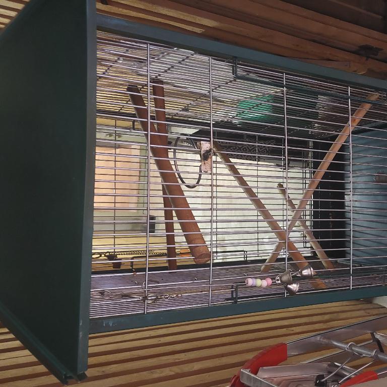 Grande Cage à Oiseaux in der Schweiz - Bild 3