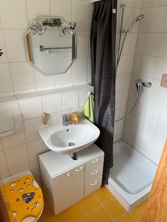 Reinigungskraft in Münchenstein - Bild 3