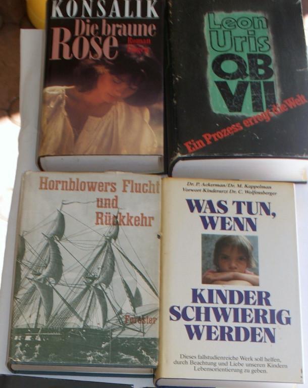 24 Diverse Bücher gebraucht in Bremgarten - Bild 11