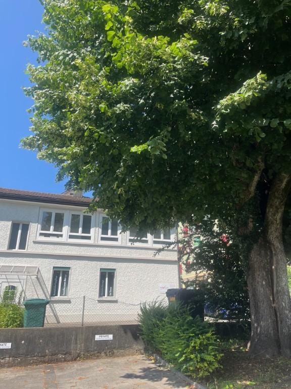 Suchen Sie ein neues Büro oder einen Therapieraum / Yogastudio in Grenchen - Bild 7