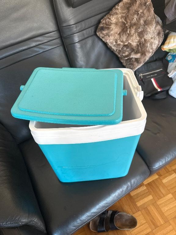 Zu verkaufen, Kühlbox ohne Kühlelemente in der Schweiz - Bild 2