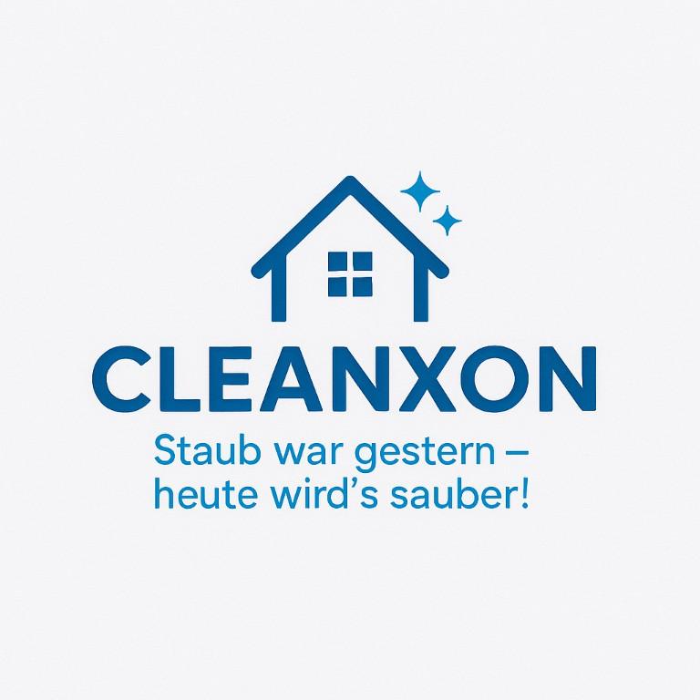 Staub war gestern - heute wird's Sauber! in Langenthal - Bild 1
