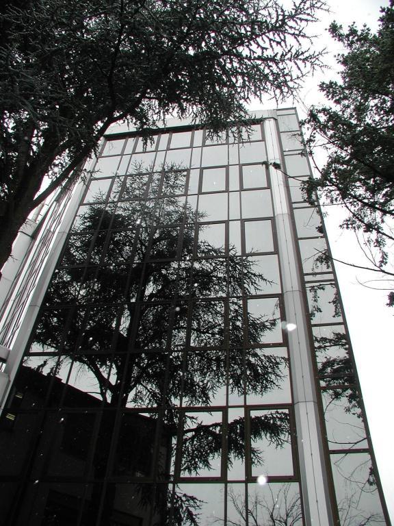 Office for Rent in Meyrin, Geneve, Ref# 653237 in Chêne-Bougeries - Bild 1