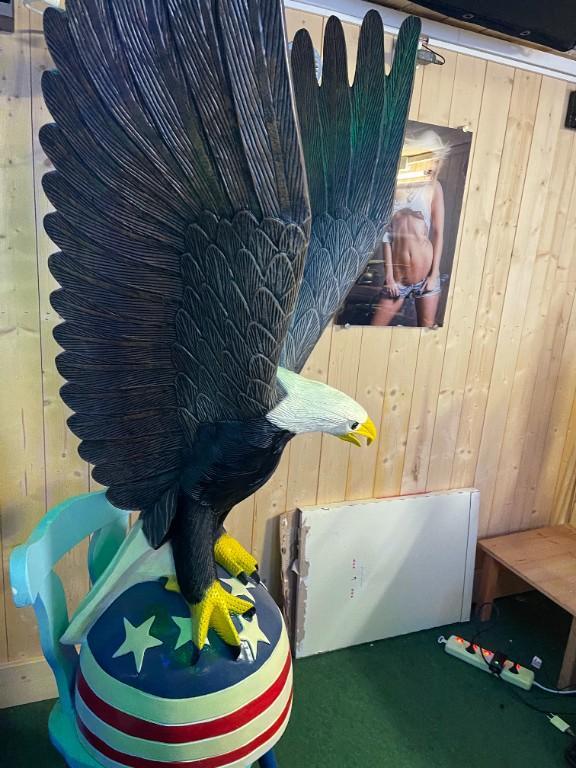 Adler USA H.140cm B.80 cm T.55cm ,90er Jahre aus Show raum ! in der Schweiz - Bild 5