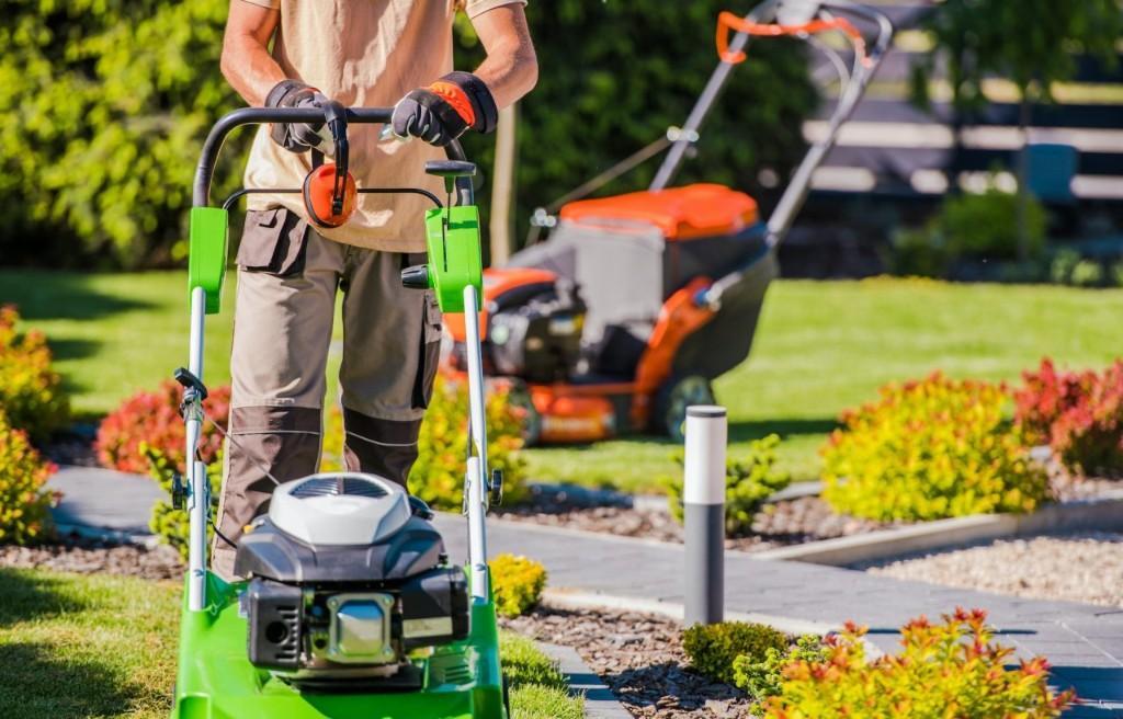Gartenarbeit, Rasenmähen, Hecken schneiden, Baum pflegen fällen in Flawil - Bild 3