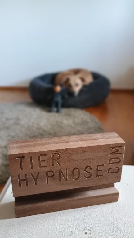 Tierhypnose Lenzburg und Umgebung in Wohlen - Bild 1