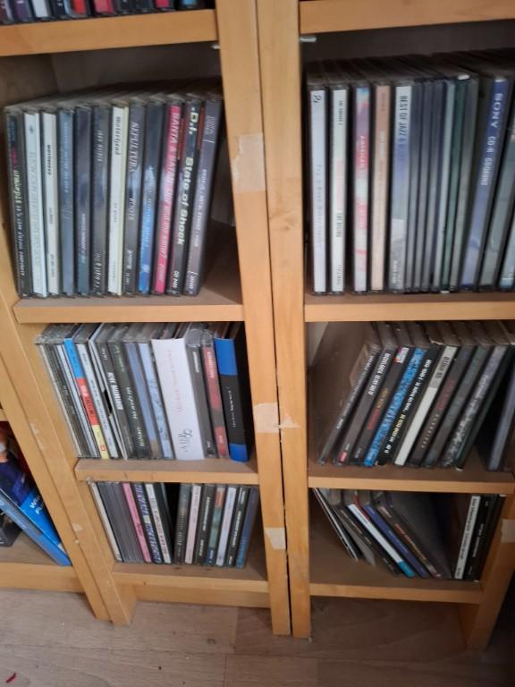 Komplette CD und DVD Sammlung! in Thun - Bild 2