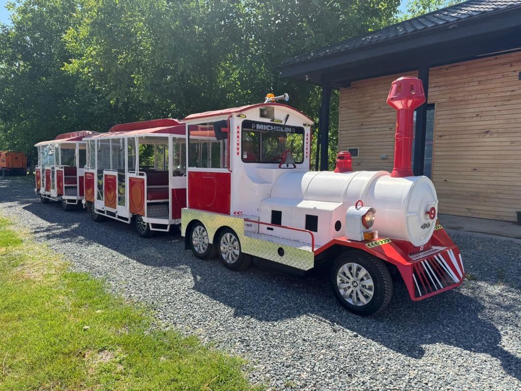 Akval 4x4 Touristen-Züge in Dübendorf - Bild 9