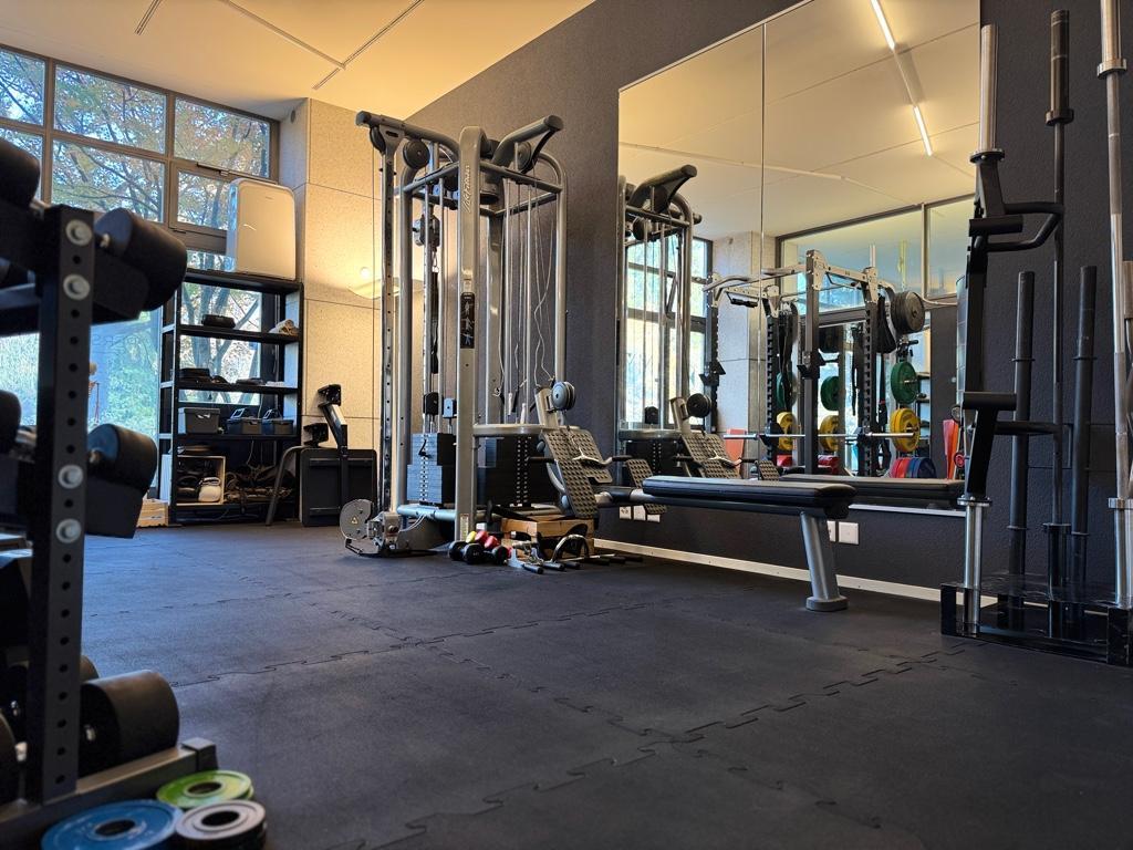 Personal Training bei Synergym in Zürich in Dübendorf - Bild 2
