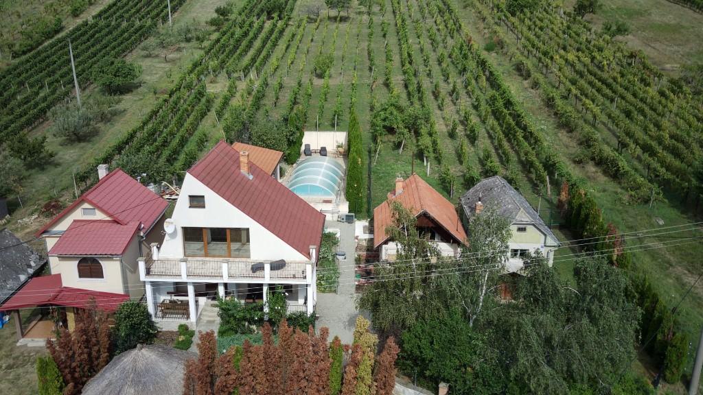 Haus mit Nebenhäusern, Pool und Weinberg in Vinica Preissenkung in der Schweiz - Bild 1